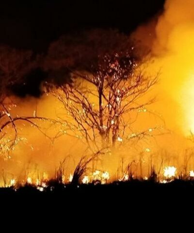 Imagem da notícia Batalha contra o fogo: Alcinópolis mobiliza força-tarefa e produtores rurais para conter incêndios críticos na região